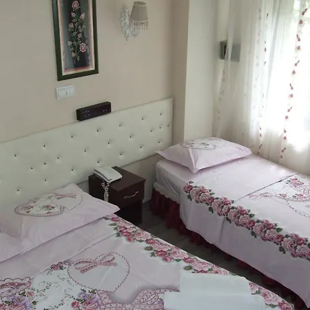 Artemis Old Hotel Istanbulská provincie