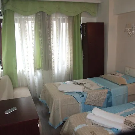 Hotel Artemis Old 3*