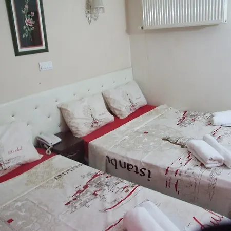 Hotel Artemis Old Provincia di Istanbul