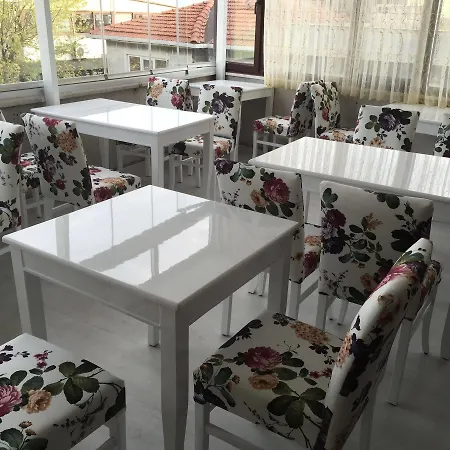 Hotel Artemis Old Provincia di Istanbul