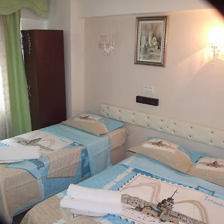 Hotel Artemis Old 3*