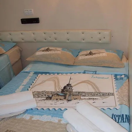 Hotel Artemis Old Provincia di Istanbul