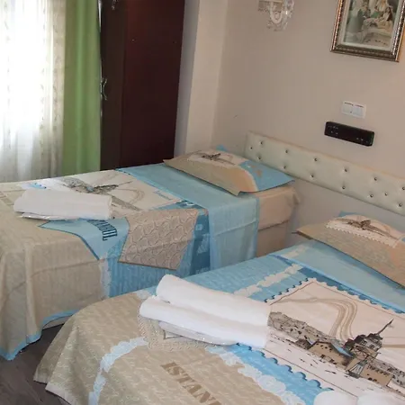 فندق Artemis Old 3*