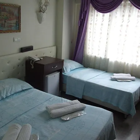 Artemis Old فندق 3*