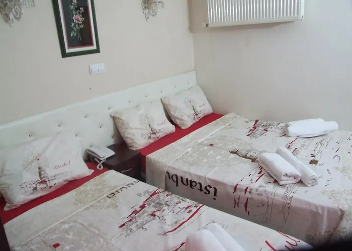 Hotel Artemis Old Istanboel