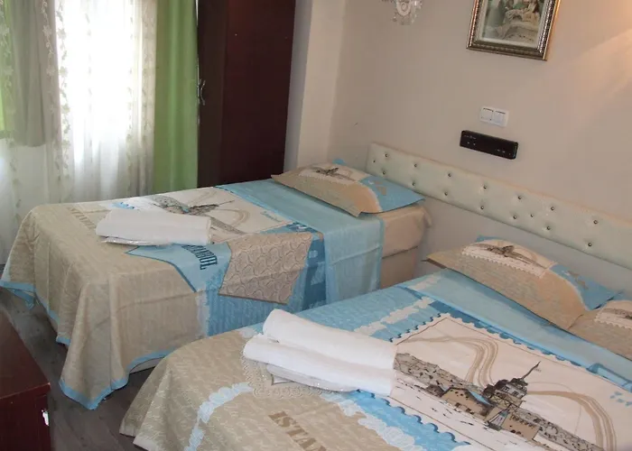 Hotel Artemis Old 3*