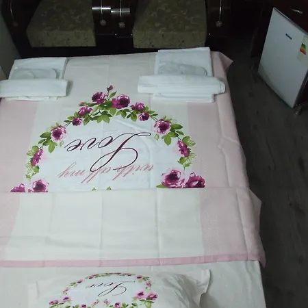 Hotel Artemis Old Estambul